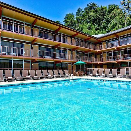 Wild Bear Inn Pigeon Forge Εξωτερικό φωτογραφία