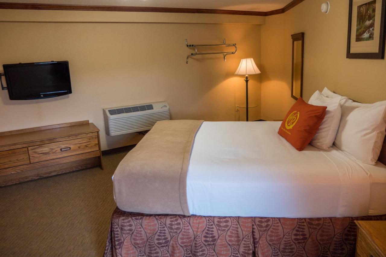 Wild Bear Inn Pigeon Forge Εξωτερικό φωτογραφία