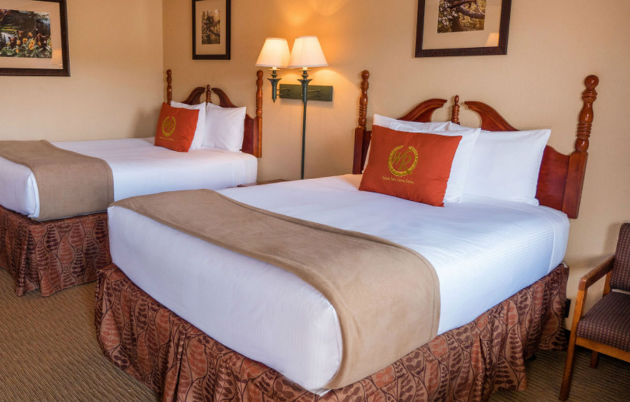 Wild Bear Inn Pigeon Forge Εξωτερικό φωτογραφία